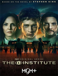 闪婚后傅先生马甲藏不住了