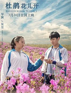 你想要的一切2010