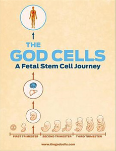 传奇将军赵尚志